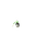 Poltchageist (Artisan Form)