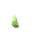Metapod