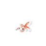 Goldeen