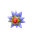 Starmie