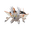 Mega Pinsir