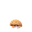 Kabuto