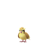 Pidgey