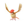 Pidgeotto
