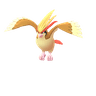 Pidgeot