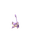 Rattata