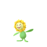 Sunflora