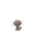 Wooper