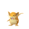 Raticate