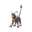 Houndoom