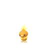 Torchic