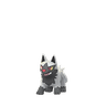 Poochyena