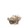 Zigzagoon