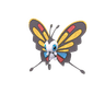 Beautifly