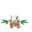 Shiftry