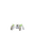Nincada