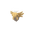 Shedinja