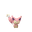 Skitty