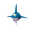 Sharpedo