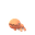 Trapinch
