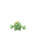 Cacnea