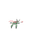 Anorith