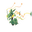 Mega Rayquaza