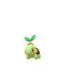 Turtwig