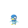 Piplup