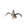 Staravia