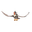 Staraptor