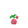 Cherubi