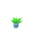 Oddish
