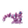 Drapion
