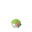 Shaymin