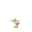 Shaymin (Sky Forme)
