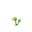Snivy