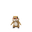 Patrat