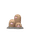 Dugtrio