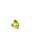 Sewaddle