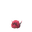 Venipede