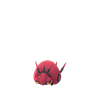 Venipede