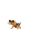 Sandile