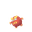Darumaka