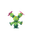Maractus