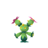Maractus