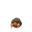 Dwebble