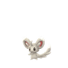 Minccino