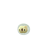 Solosis