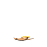 Stunfisk